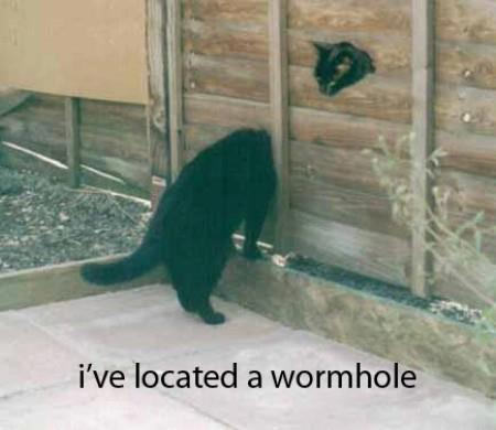 Kitten wormhole